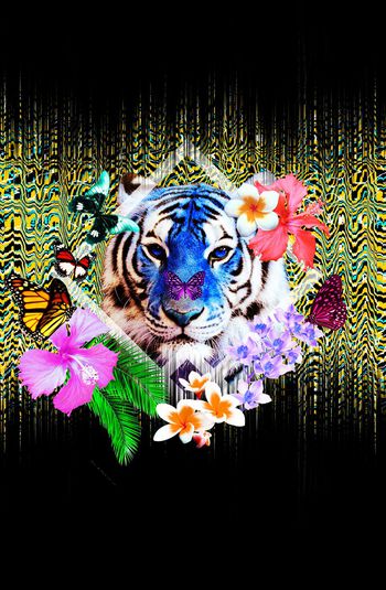 542214-時尚老虎頭定位华亿平台