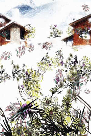 小清新印花华亿平台图片