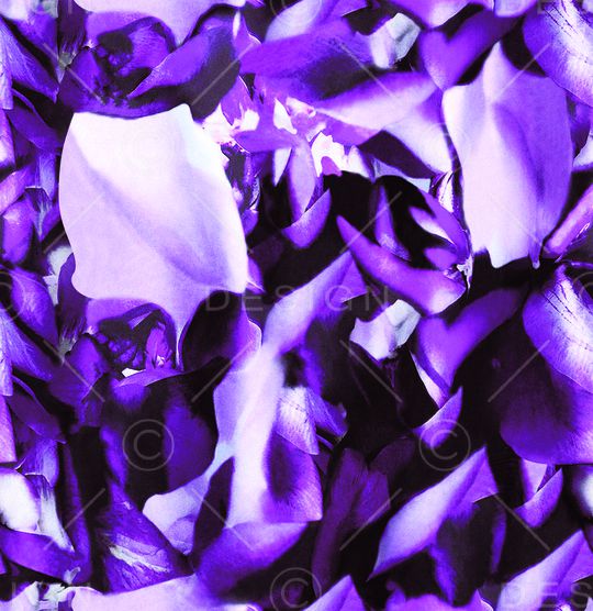 抽象花瓣印花华亿平台图片