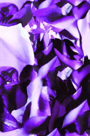 抽象花瓣印花华亿平台图片