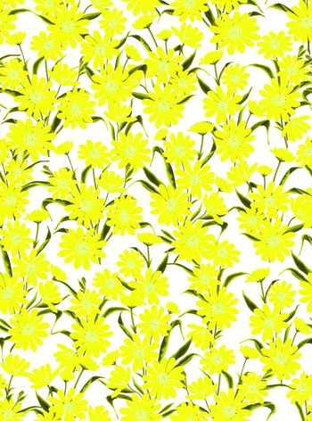 542460- 时尚大牌D&G印花图