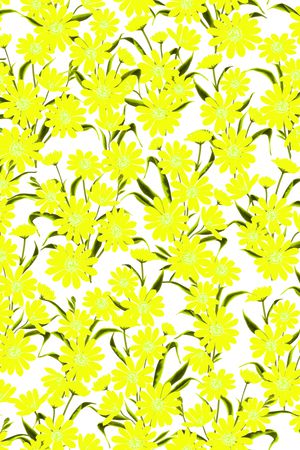 大牌印花华亿平台图片