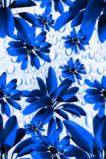 超清印花华亿平台图片