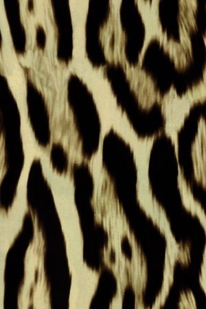 豹纹  高清  创意 高雅 流行印花华亿平台图片