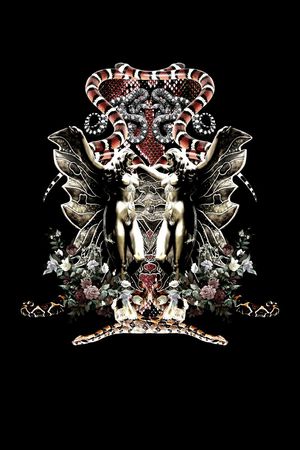 蛇纹印花华亿平台图片