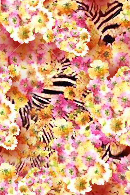 大气女装印花华亿平台图片