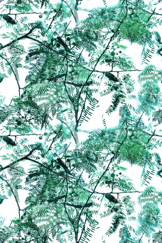 树枝剪影印花华亿平台图片