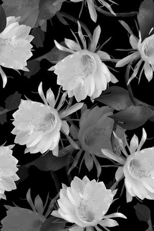 时尚印花华亿平台图片