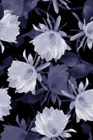 时尚印花华亿平台图片