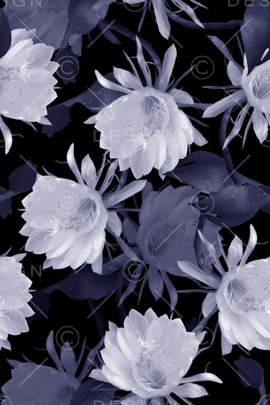 时尚印花华亿平台图片