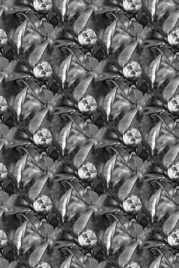 542871-时尚纹理底纹花卉男装卫衣图案