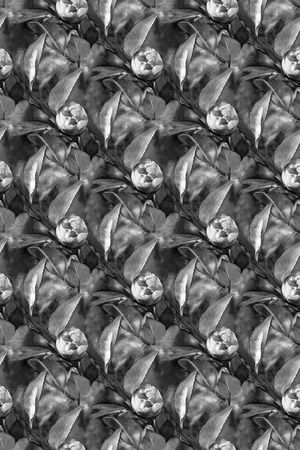 时尚纹理印花华亿平台图片