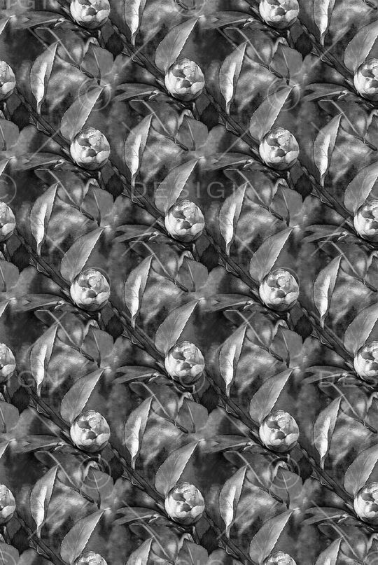 时尚纹理印花华亿平台图片