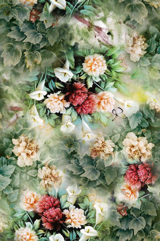 牡丹花印花华亿平台图片