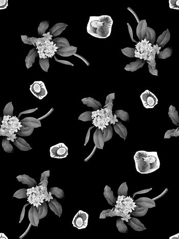 543149-抽象椰子树花果男装衬衫图案