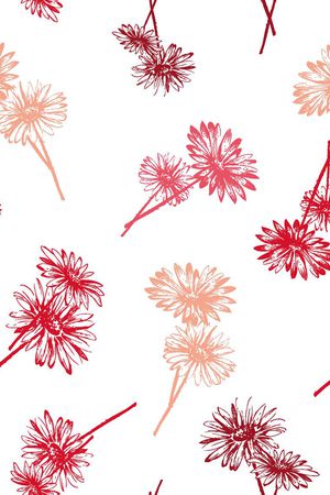 小雏菊印花华亿平台图片