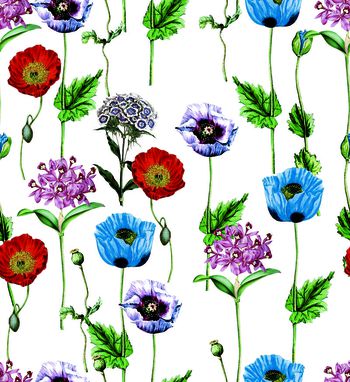 543377-长柄粟子花