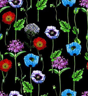 543379-长柄粟子花