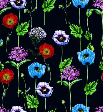 543381-长柄粟子花