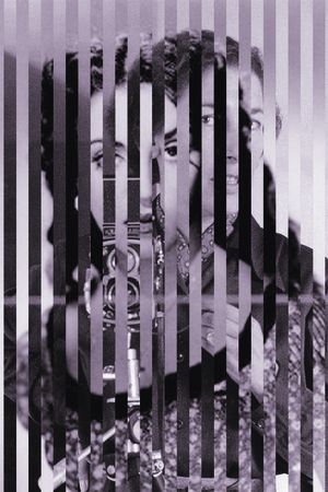 复古印花华亿平台图片