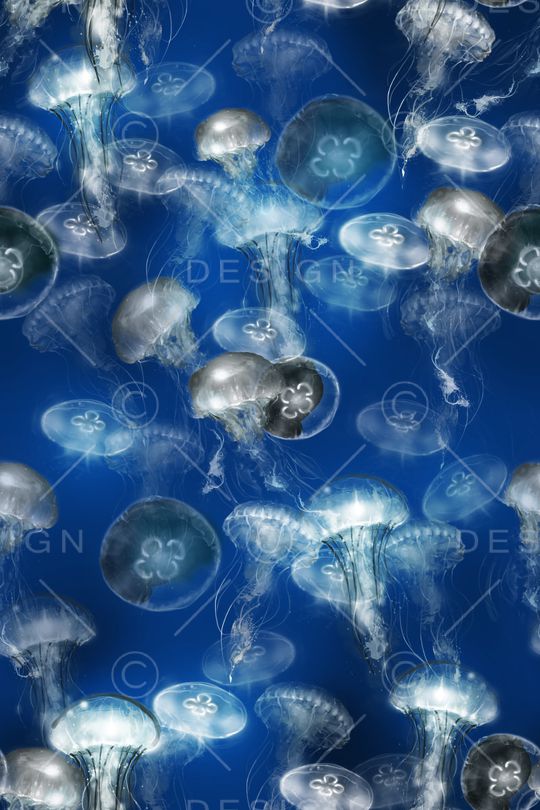 流行时尚印花华亿平台图片