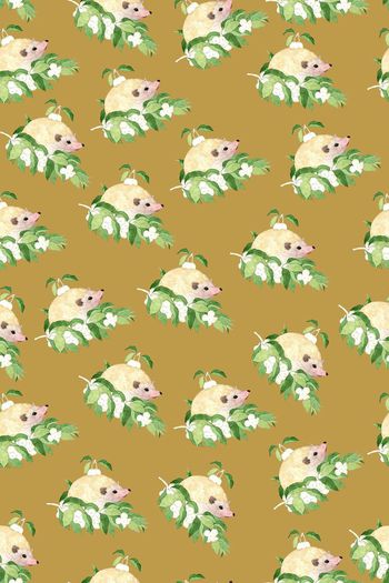 543632-可爱小刺猬的夏天