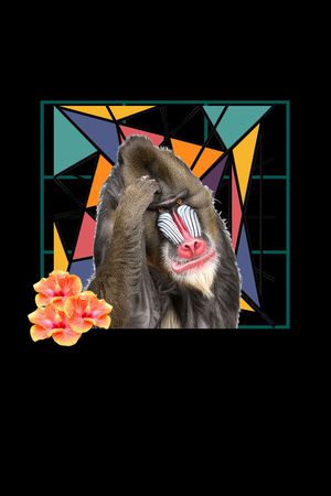 流行时尚印花华亿平台图片