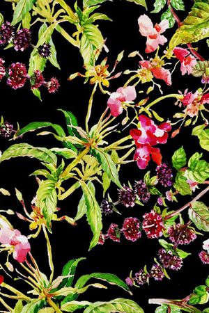 热带雨林印花华亿平台图片