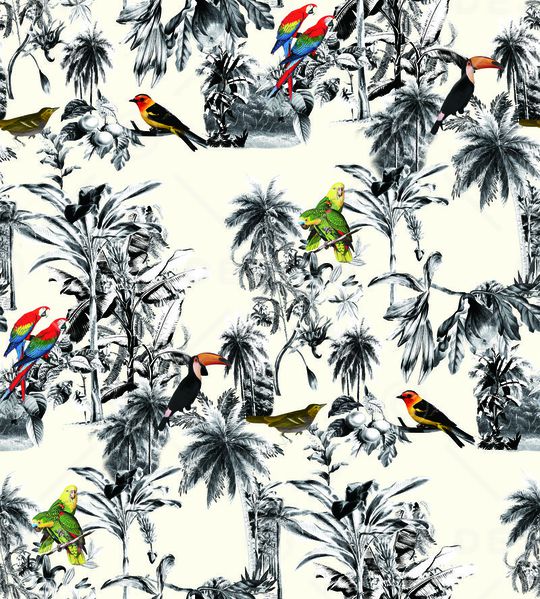 热带雨林印花华亿平台图片