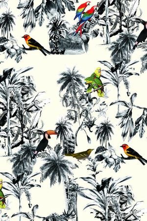 热带雨林印花华亿平台图片