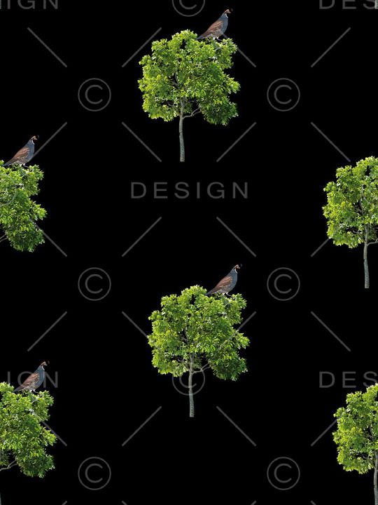 潮流男装印花华亿平台图片