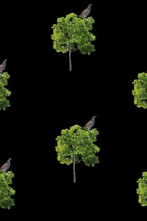 潮流男装印花华亿平台图片