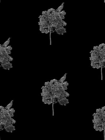 543777-抽象树鸟男装图案