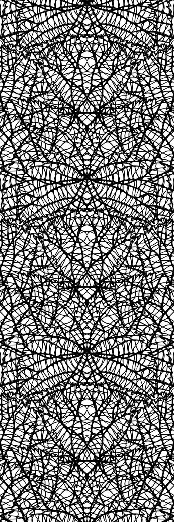 543826-蜘蛛网纹理