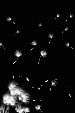 韩版印花华亿平台图片