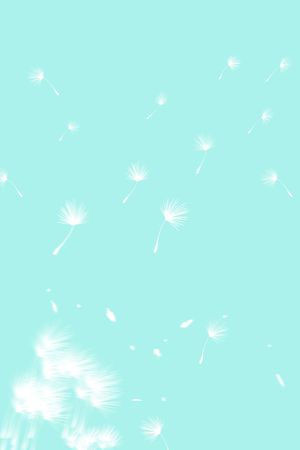 田园印花华亿平台图片