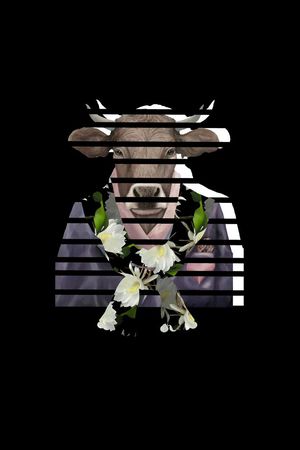 趣味男装图案印花华亿平台图片