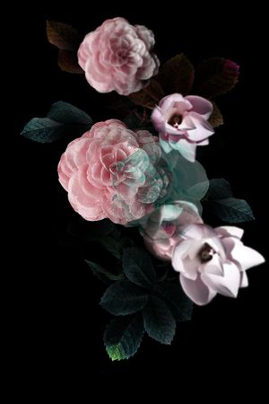 定位印花华亿平台图片