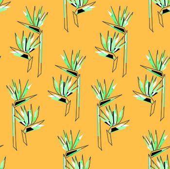 544059-手绘天堂鸟