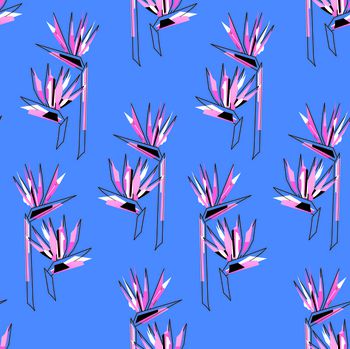 544060-手绘天堂鸟