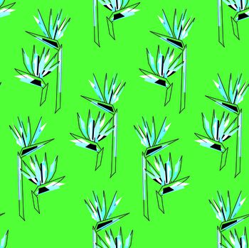 544061-手绘天堂鸟