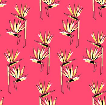 544062-手绘天堂鸟