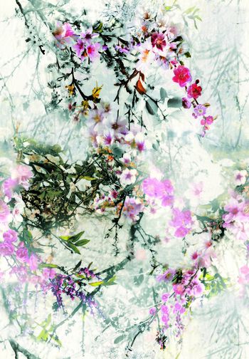 544079-梦幻花丛草