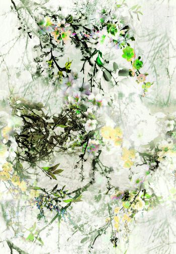 544080-梦幻花丛草