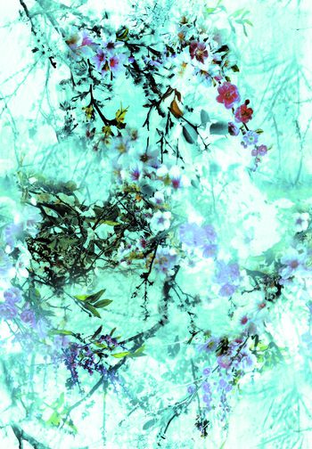 544081-梦幻花丛草