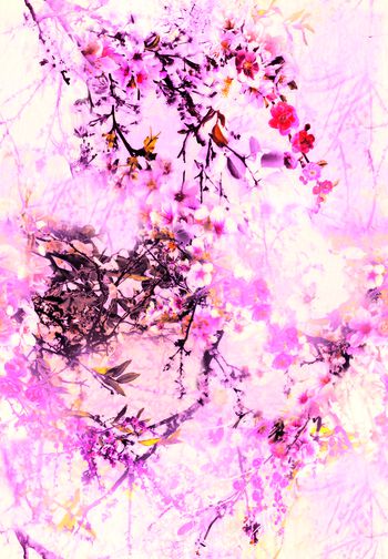 544082-梦幻花丛草