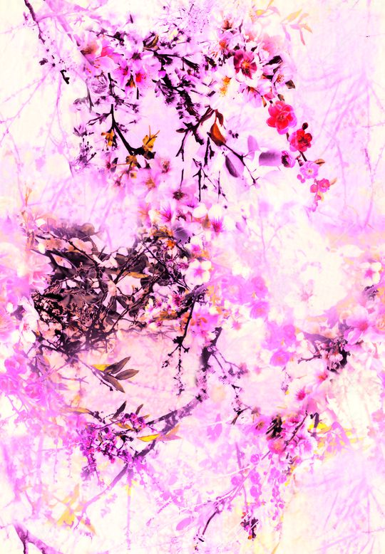 梦幻花卉印花华亿平台图片