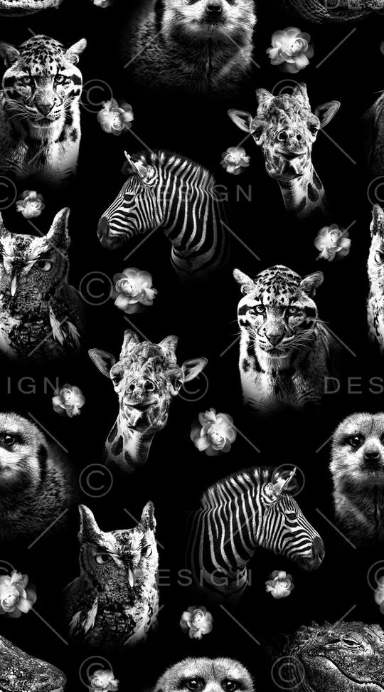 时尚印花华亿平台图片