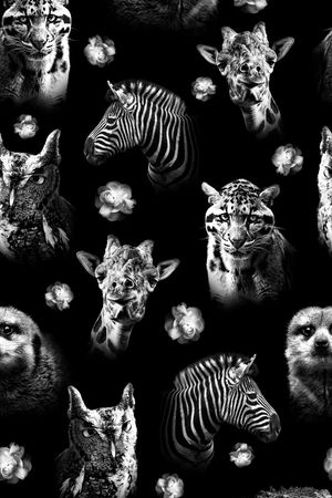 时尚印花华亿平台图片