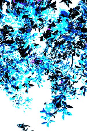 彩绘印花华亿平台图片